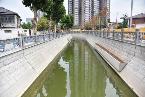 全面完成 市区这段新奎河,即将水清岸绿